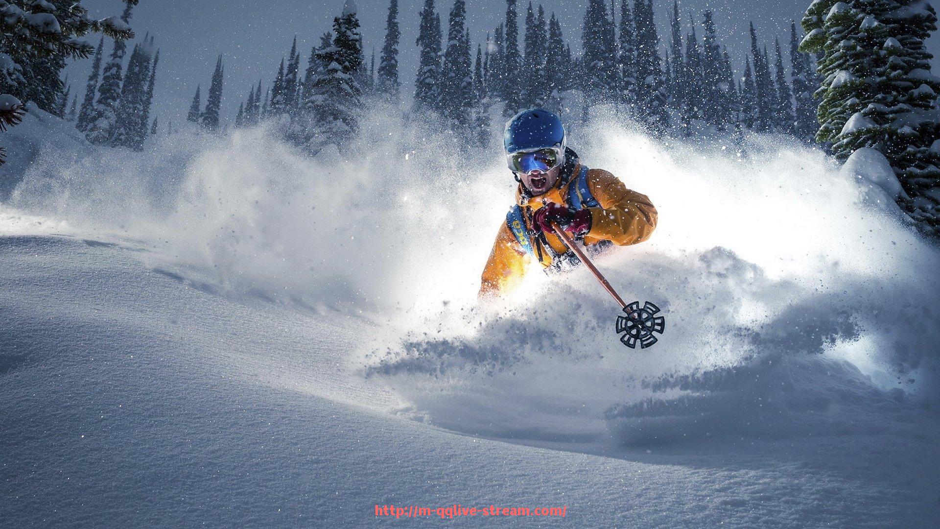 企鹅直播-上海三飞健身器材的品牌特色与产品选购:三飞健身器材的优势与推荐