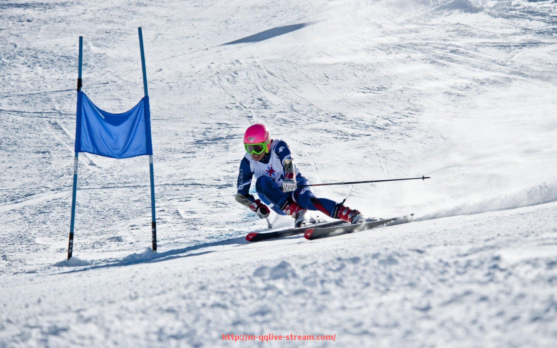 企鹅直播-法甲外援表现总结及对球队贡献度评估