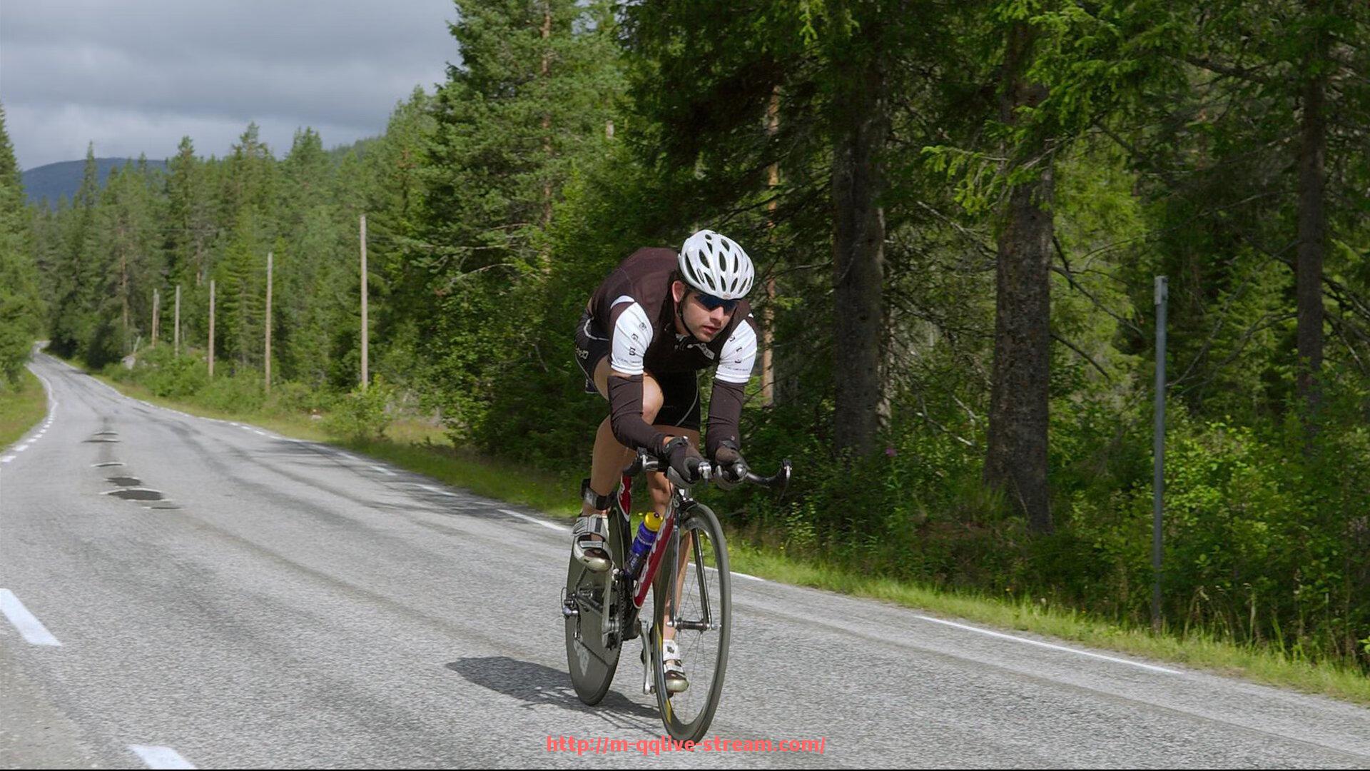 企鹅直播-2025年德甲三大强队实力排行更新版